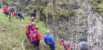 Rescue teams combine to rescue man from gorge