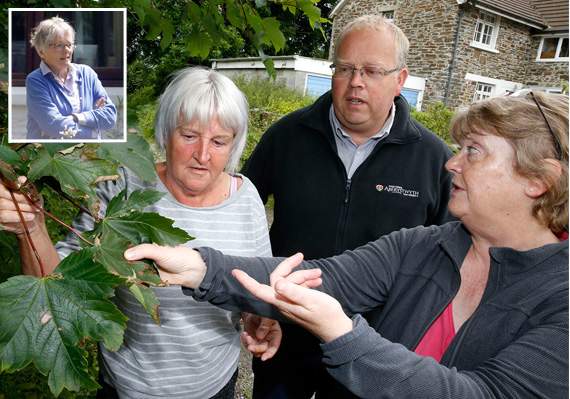 Tree poisoner defiant as neighbours vent fury