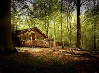 Petition to block log cabins gains 2,000 signatures