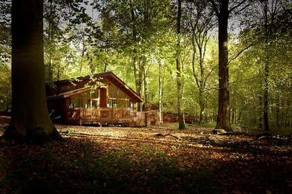 Petition to block log cabins gains 2,000 signatures