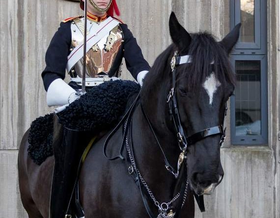 41063 - Blues and Royals Trooper