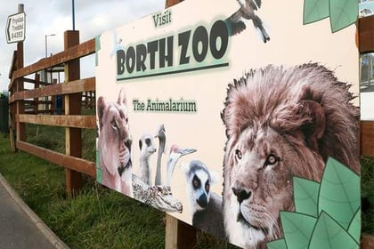 Zoo avoids winding-up bid