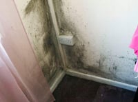 Damp and mould situation in Wales' homes 'cannot continue'