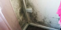 Damp and mould situation in Wales' homes 'cannot continue'