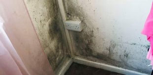 Damp and mould situation in Wales' homes 'cannot continue'