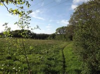 Plans for natural human burial site approved