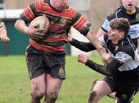 Cardigan come good against Quins