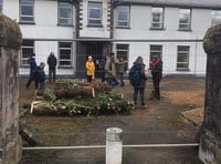 Protests at hospital site halt felling of ‘iconic’ trees