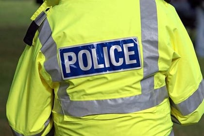 Armed police called out after reports of attempted robbery