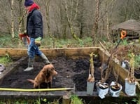 Scouts plant fruit-growing garden thanks to scheme