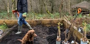 Scouts plant fruit-growing garden thanks to scheme