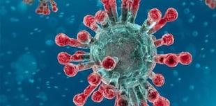 Wales records over 40 coronavirus deaths