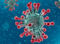 Coronavirus: Daily update