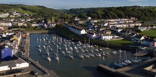 Park upgrades and woodland boost on cards for Aberaeron