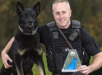 Police dog who found missing woman and baby receives national award