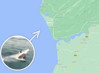 Cardigan Bay fisherman in close encounter with shark