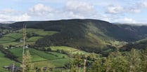 Have your say on the future of Ystwyth Valley forestry