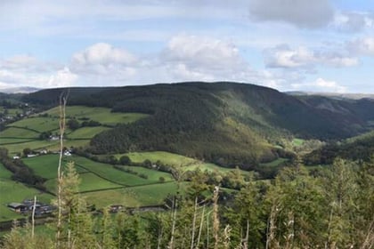 Have your say on the future of Ystwyth Valley forestry