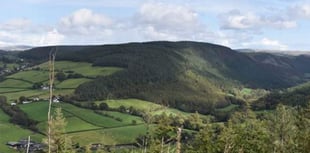 Have your say on the future of Ystwyth Valley forestry