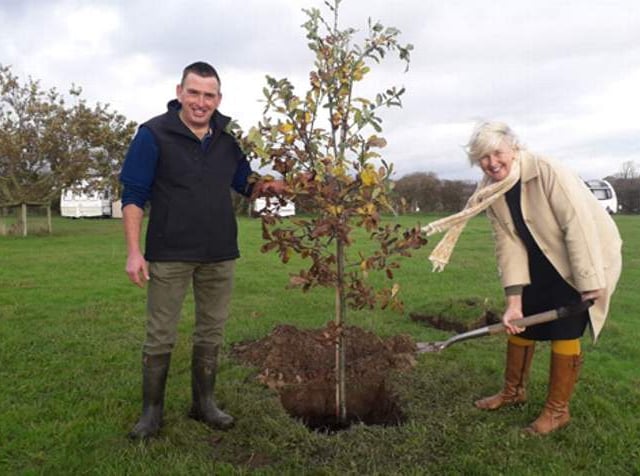 Strategy for sustainable woodland expansion in Wales backed by MS