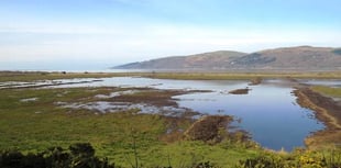 Bird flu confirmed in Ceredigion