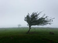 Gwynedd weather warning says strong winds could disrupt travel