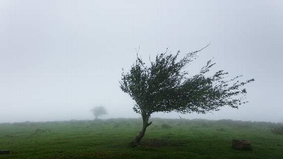 Gwynedd weather warning says strong winds could disrupt travel