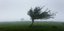 Gwynedd weather warning says strong winds could disrupt travel