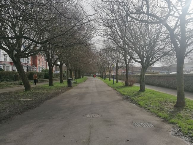 Plascrug Avenue in Aberystwyth