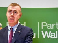 Plaid Cymru must 'detoxify' following damning report