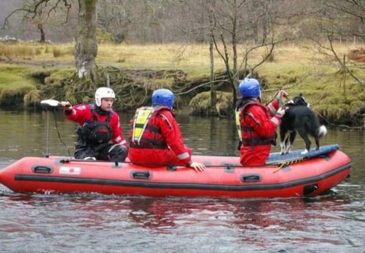 British International Rescue and Search Dogs on a search and rescue mission 