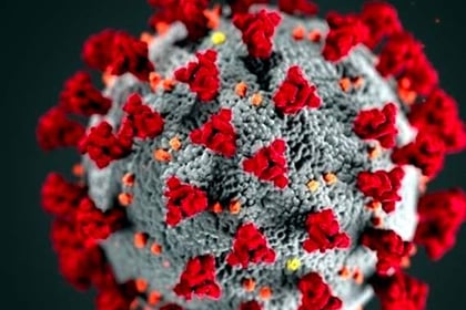 Two coronavirus deaths recorded in Ceredigion