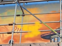 Mural vandalised by ‘mindless’ graffiti