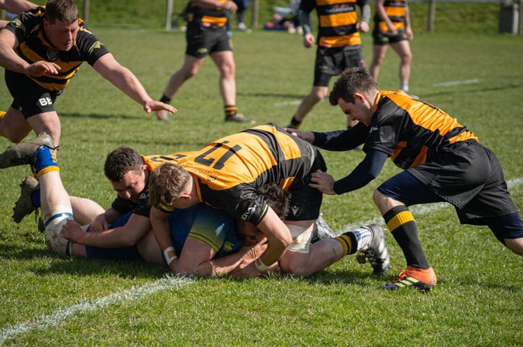 Aberaeron scored seven tries against St Davids