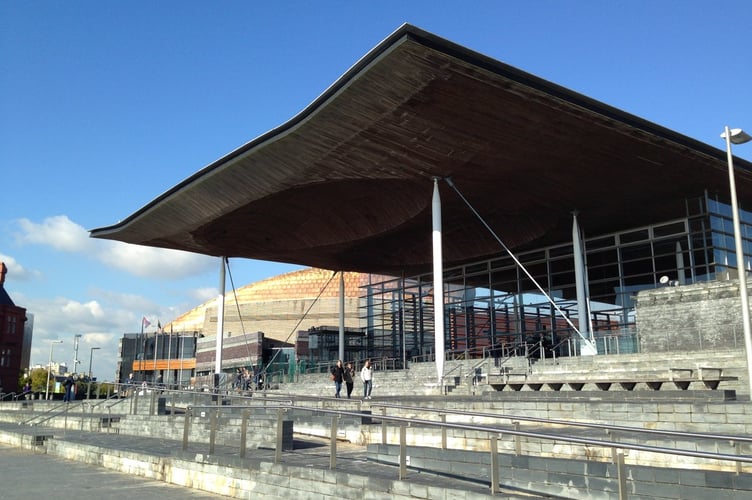 Senedd