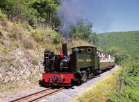 Vale of Rheidol in talks to acquire another mid Wales railway