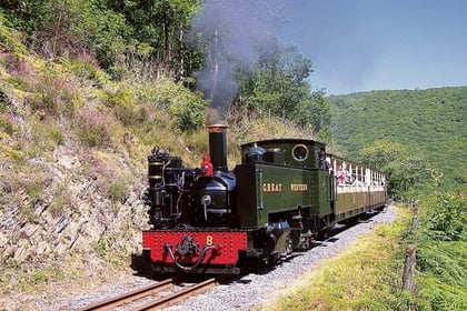 Vale of Rheidol in talks to acquire another mid Wales railway