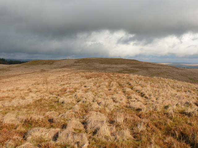 Bryn Brawd