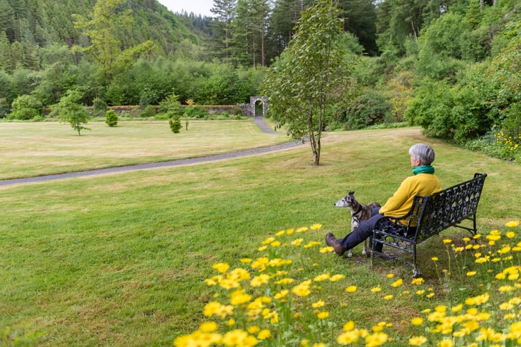 The walled garden in the Hafod Estate