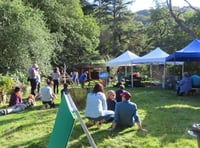 Free festival to celebrate ancient woodland