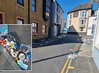 Calls for street cleaners to tackle bin day problems