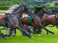 Popular harness racing fixture returns to its rightful home