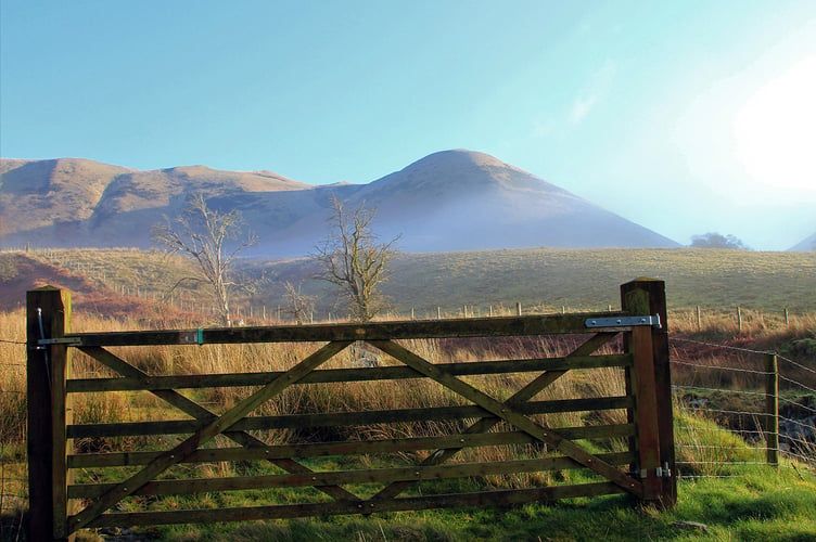 Cambrian Mountains