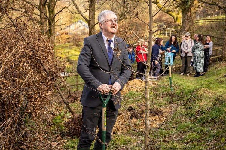 Mark Drakeford farming tree