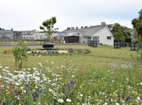 Community garden and hub opens in Aberystwyth