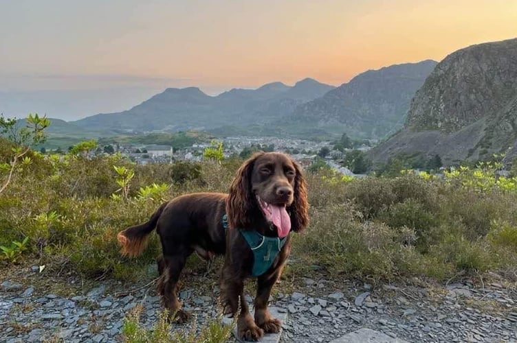 Jed died after falling in a water culvert