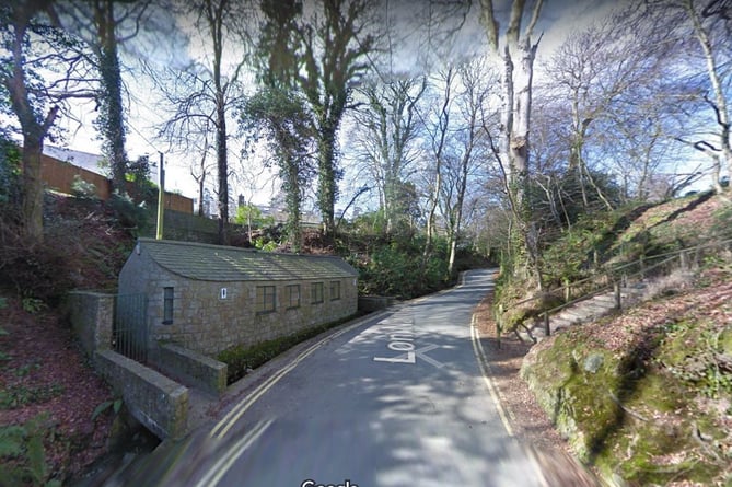 Trees on Lon Nant Iago, Llanbedrog, in the area around the public toilets (Picture Google Maps)