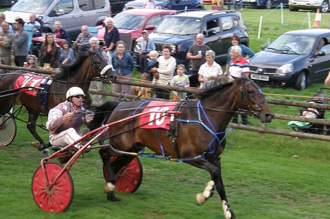 Zulu Warrior won the Novice Final, Wales & Border Harness Racing, 280822