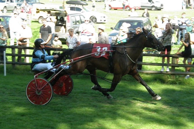 Ontop Shouda Cuda won the Grade A, Wales & Border Harness Racing, 280822