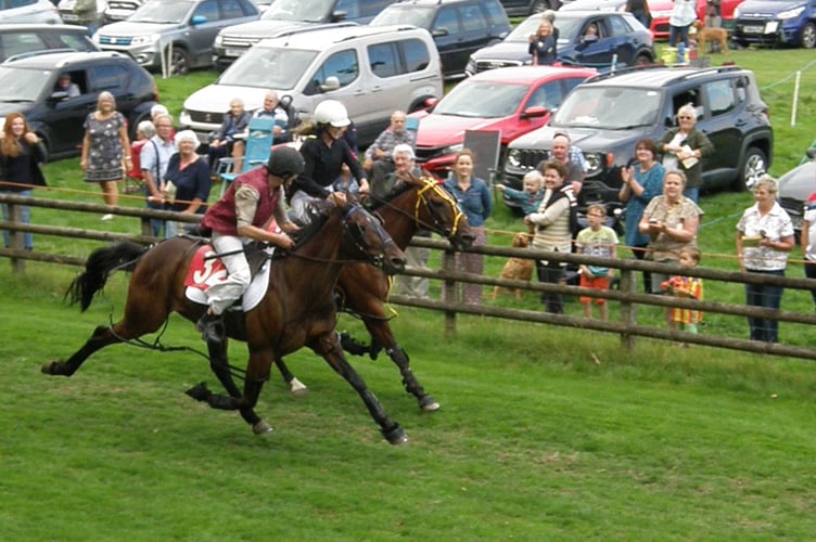 Wales & Border Harness Racing 280822